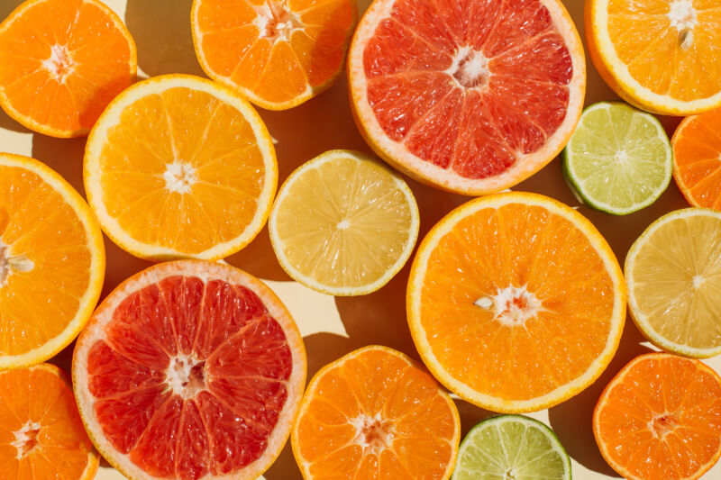 image of slices of various citrus fruit, showing range of colors and sizes.