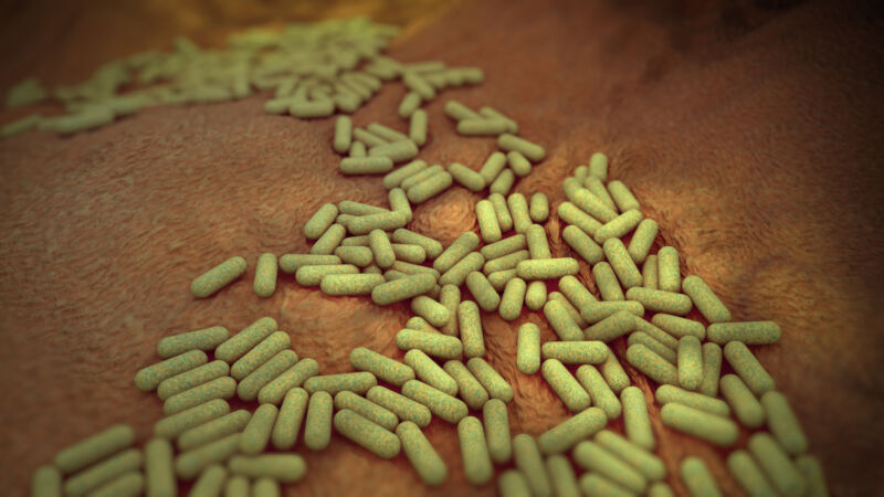 Representación 3D de bacterias verdes con forma de bastón esparcidas sobre una superficie marrón sin rasgos distintivos.