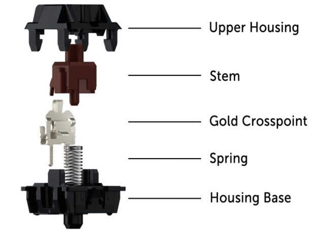 An exploded view of a Cherry MX Brown switch.