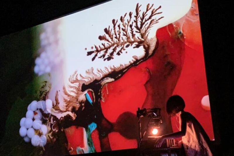 La artista japonesa Akiko Nakayama manipula alcohol y tintas para crear patrones dendríticos en forma de árboles durante una sesión de pintura en vivo.