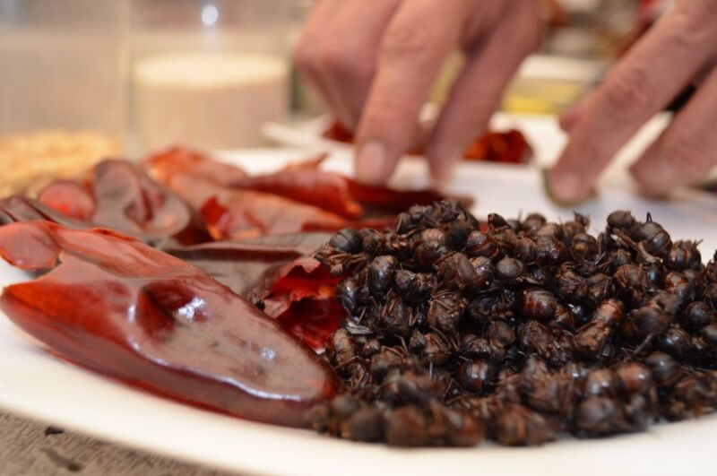 Las hormigas chicatanas tienen un sabor graso y a nuez y se consumen comúnmente en partes de México para agregar textura y sabor a platos y salsas.