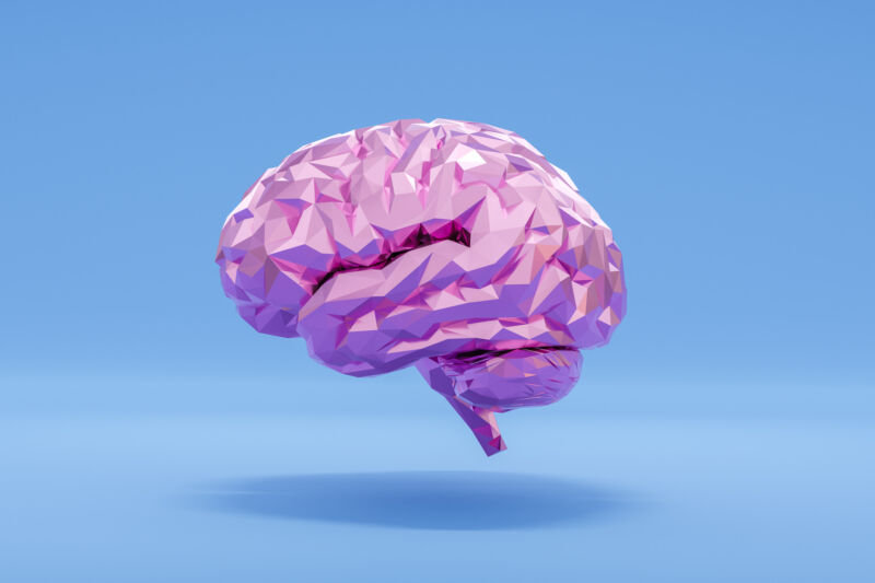 Abstract image of a pink brain against a blue background.