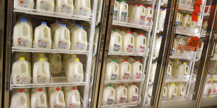 20% of grocery store milk has traces of bird flu, suggesting wider outbreak