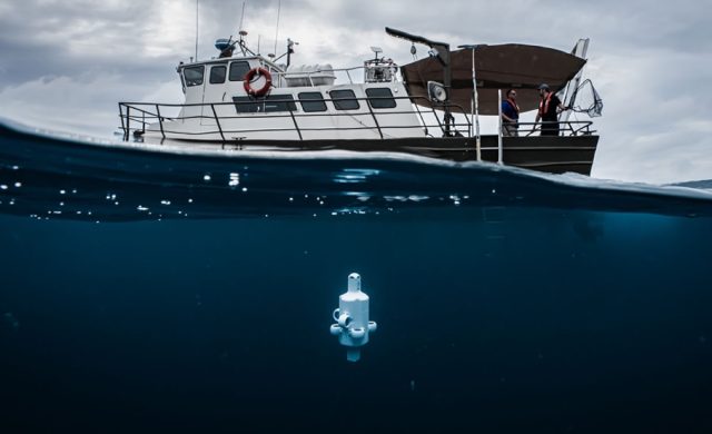 Deployment of one of Advanced Navigation's Micro Autonomous Underwater Vehicles (AUV).