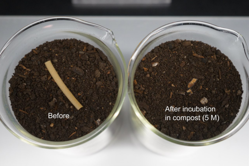 Image of two containers of dirt, one with a degraded piece of plastic in it.