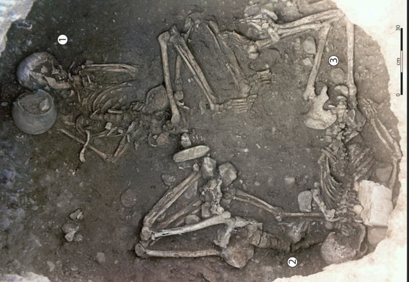 View taken from the upper part of the 255 storage pit showing the three skeletons, with one individual in a central position