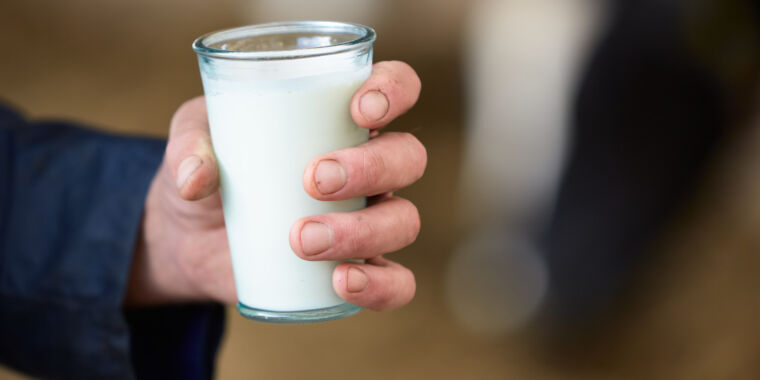 Anti-pasteurization crowd reaffirms love of raw milk despite bird flu outbreak - Ars Technica