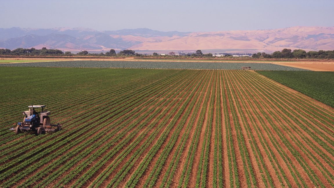 Nitrogen-using bacteria can cut farms’ greenhouse gas emissions - Ars ...
