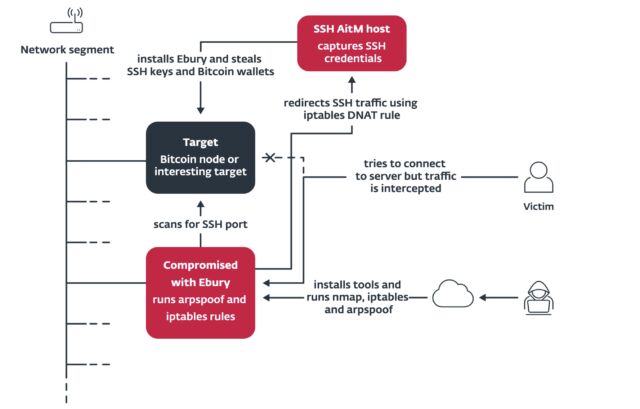 Diagram showing the flow of the adversary-in-the-middle attacks on SSH servers.