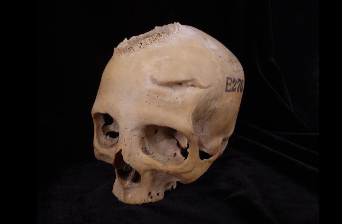 skull2270.jpg