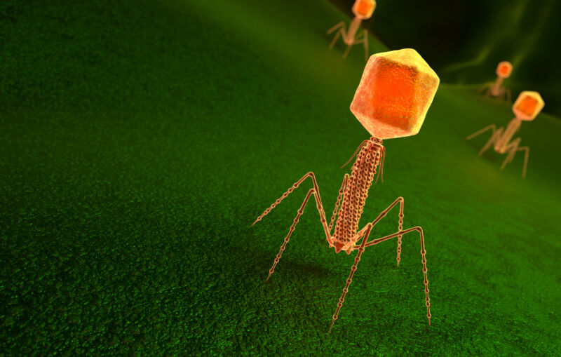 A green, lawn like background with an orange item consisting of legs, a narrow shaft, and a polygonal head.