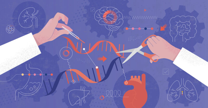 Abstract drawing of a pair of human hands using scissors to cut a DNA strand, with a number of human organs in the background.