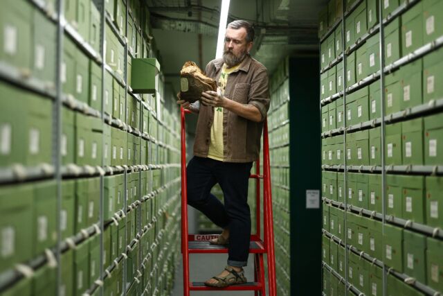 Fungi collections manager Lee Davies examines samples of fungi held within the fungi collection at the Royal Botanic Gardens, Kew, west London, in 2023. 