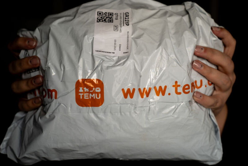 A person is holding a package from Temu. 