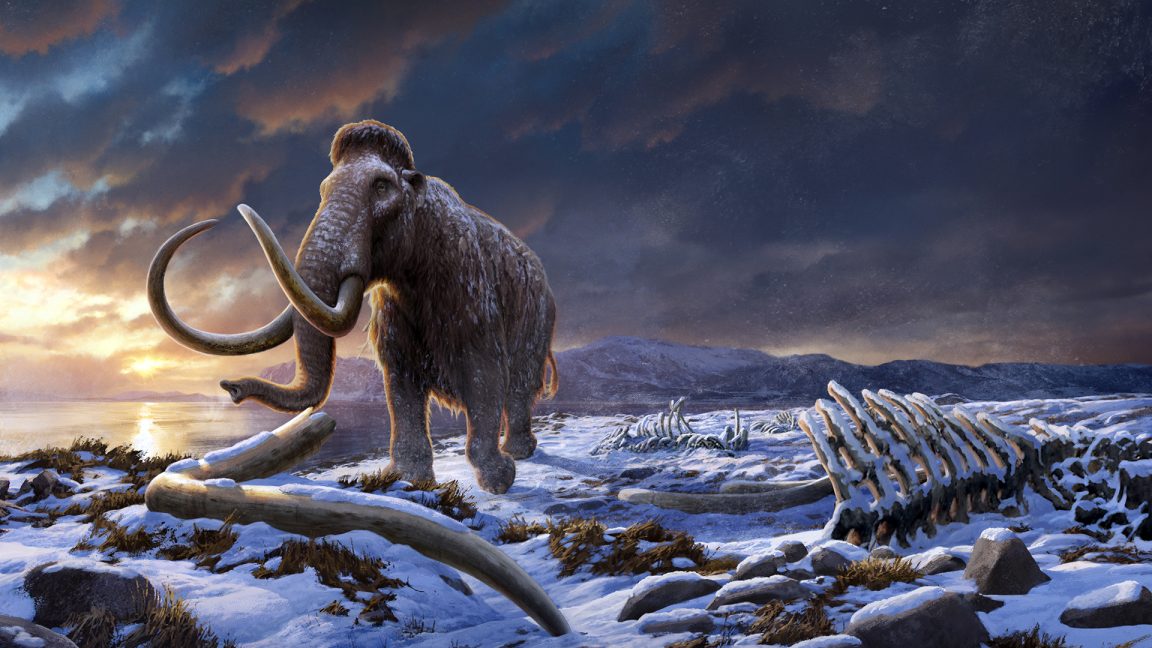 LastWrangelMammoth_by-Beth-