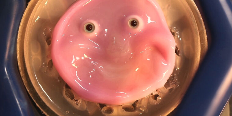 Researchers craft smiling robot face from living human skin cells