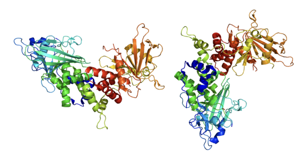 The CD45 protein, present on almost all blood cells.