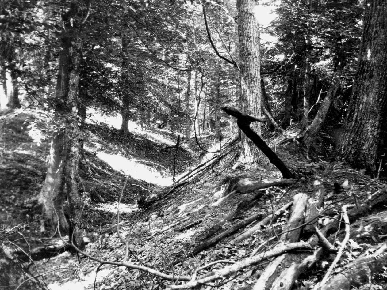 In this early 1900s photo, a landslide trench and ridge in the Chickasaw bluffs of Tennessee are depicted, showing evidence of the 1811-1812 New Madrid earthquakes nearly 100 years after the aftershocks subsided.