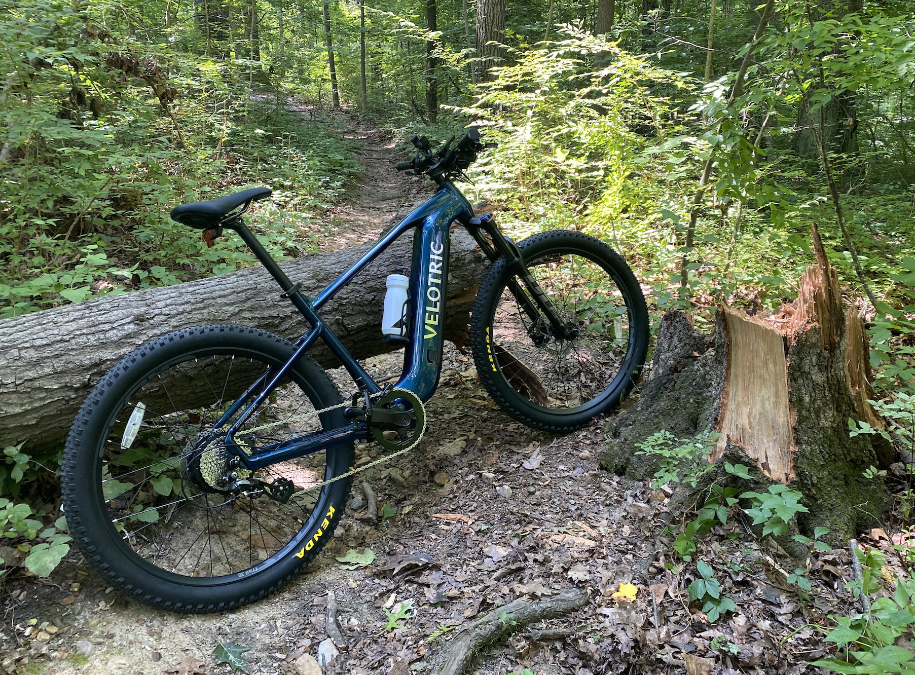 Image of a mountain bike leaned up against a downed tree.