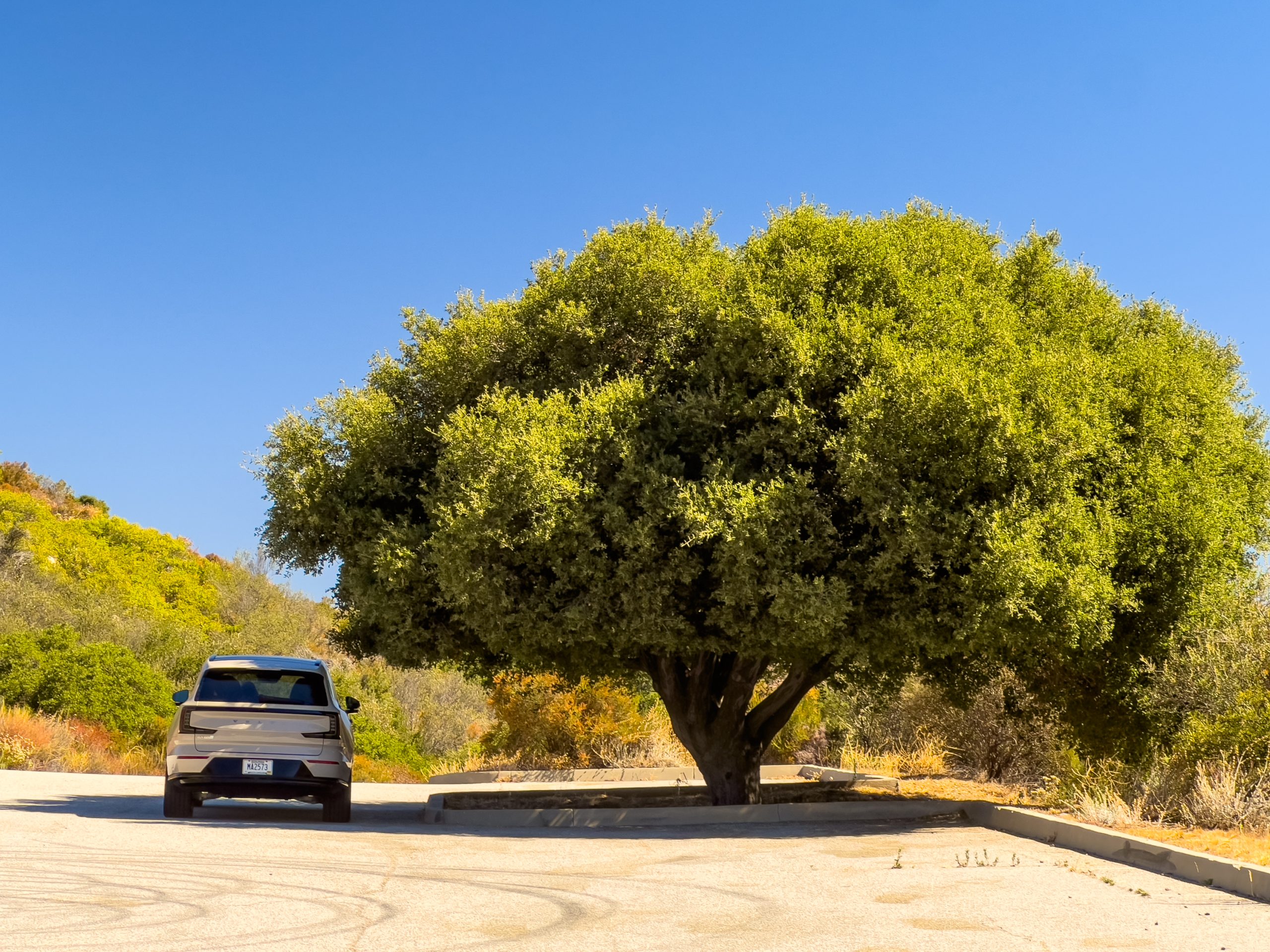 Volvo EX90 parked under a tree