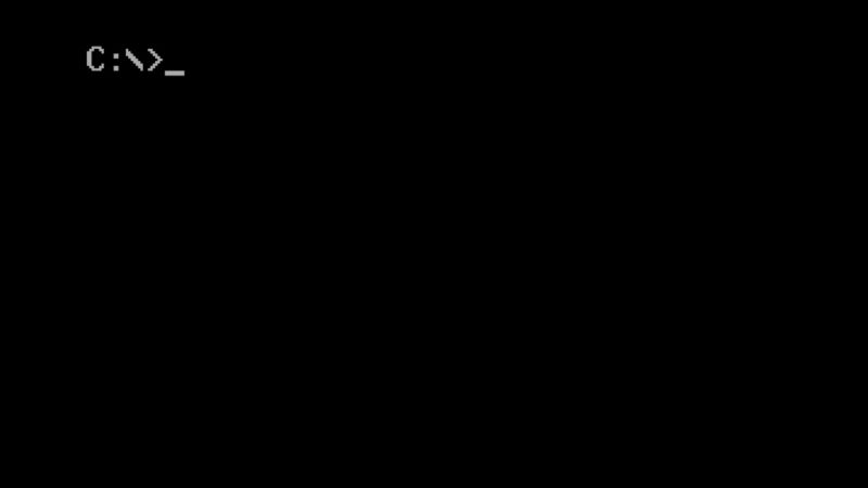 An MS-DOS prompt showing drive C