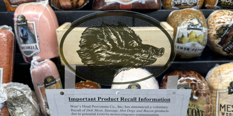 Blood puddles, mold, tainted meat, bugs: Boar's Head inspections are horrifying