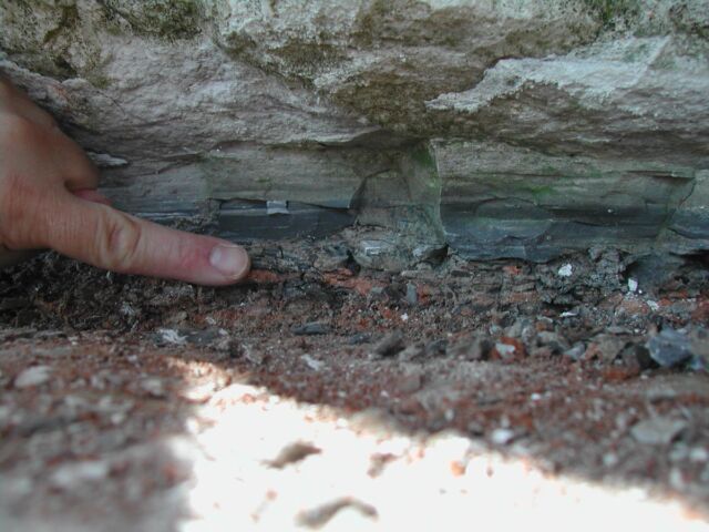 The 66-million-year-old Cretaceous-Paleogene (K-Pg) boundary layer at Stevns Klint in Denmark. 