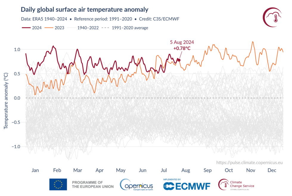 In terms of anomalies over years past, both 2023 (orange) and 2024 (red) have been exceptionally warm.