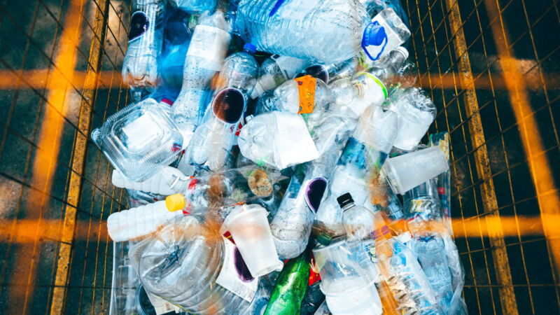 De la reciclare la alimente: putem mânca microbi care ronțăie plastic?