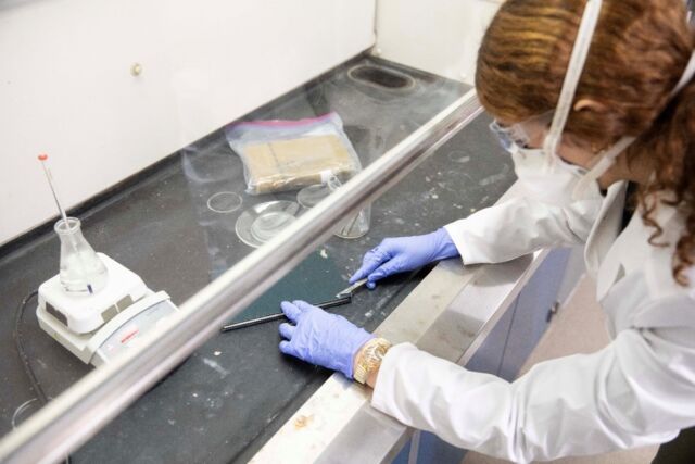 Lipscomb University undergraduate Leila Ais cuts a sample from a book cover to test for toxic dyes.