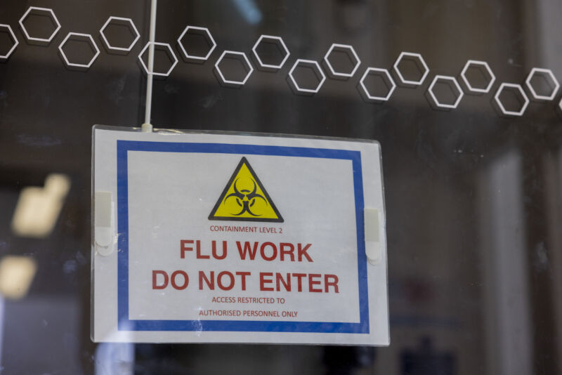 Extra unidentified diseases connected to unexplained fowl flu case in Missouri