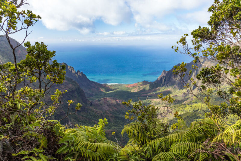 Valea Kalalau între stânci abrupte în Parcul de stat Na Pali Coast pe malul vestic al insulei Kauai din Hawaii, Statele Unite. Această vedere este de pe traseul Pihea din parcul de stat Kokee. 