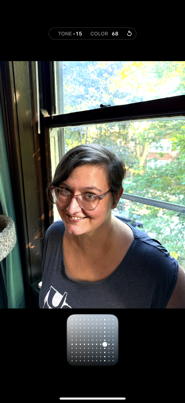 An adjustment menu with live preview on a photo