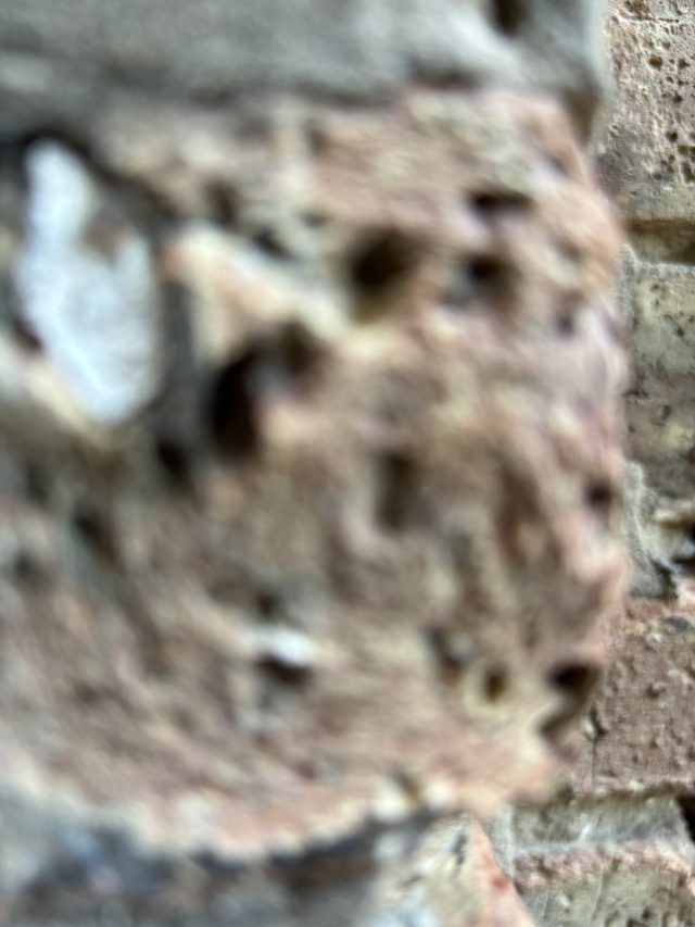 An indiscernable, blurry mess of a photo