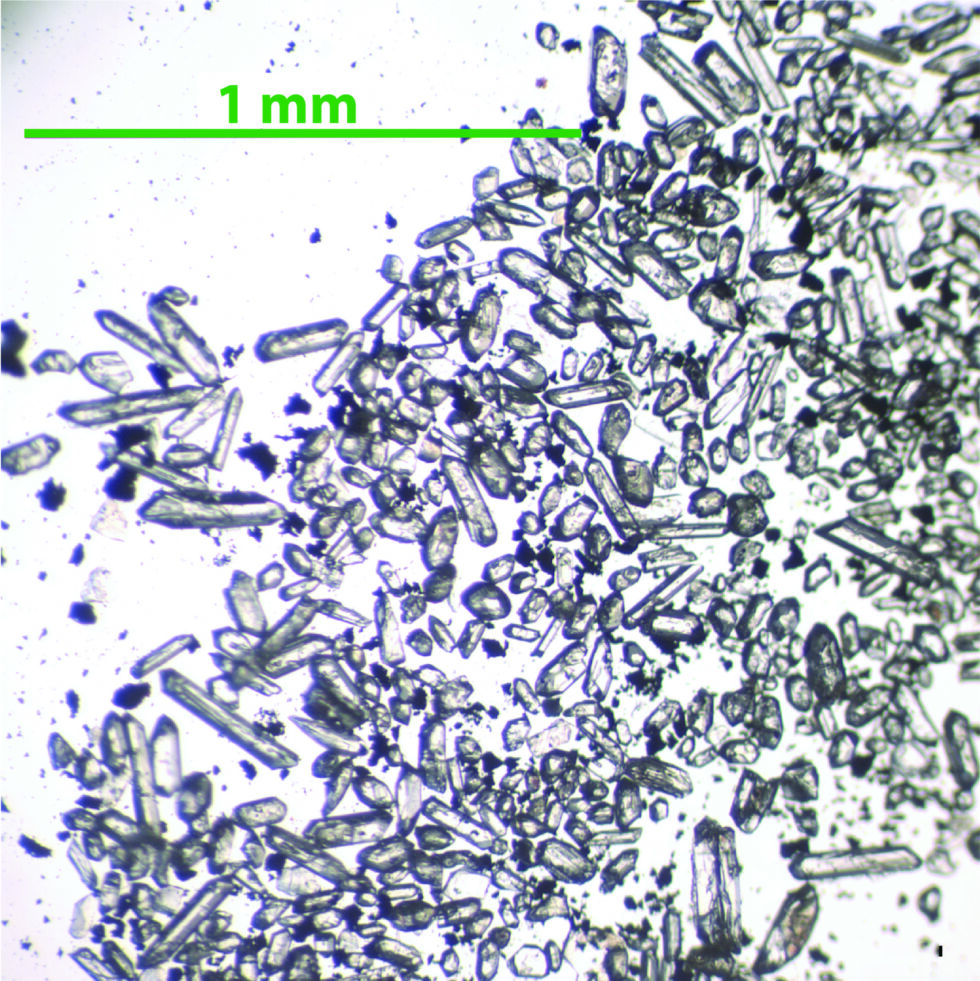 Tiny clocks: Zircon crystals from volcanic ash that fell into the Caribbean Sea during the Miocene.