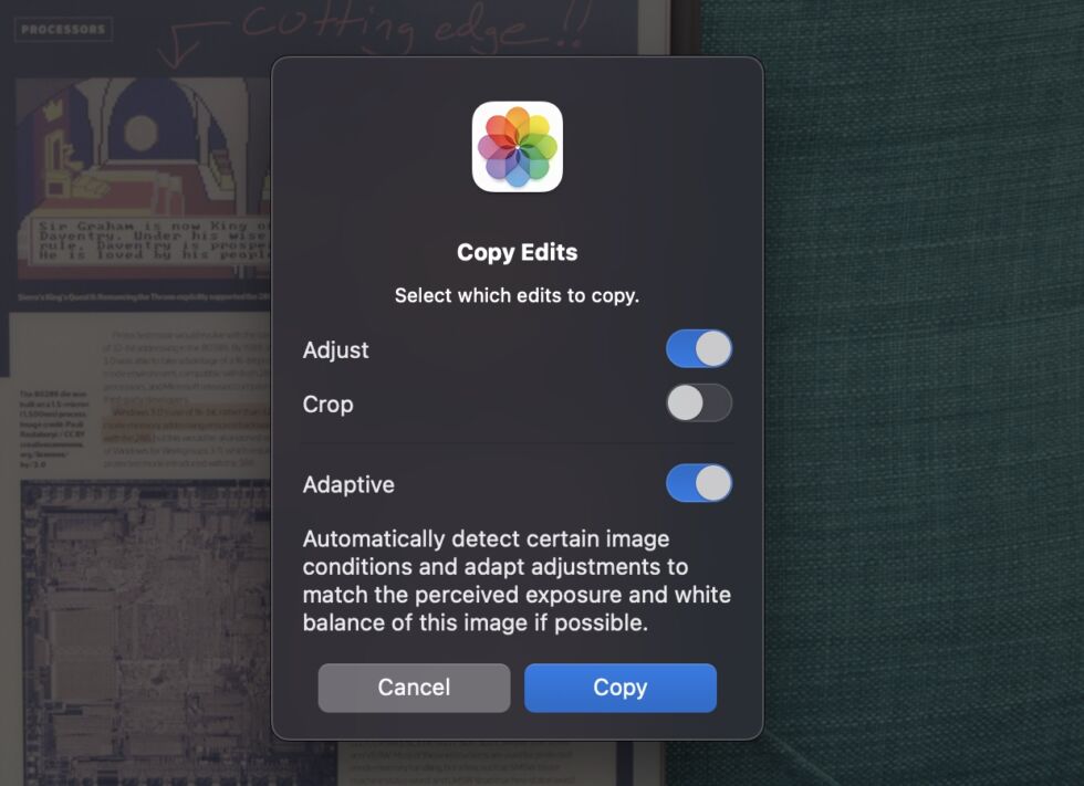 New options when copying edits from one photo to another.