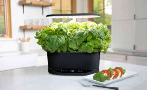 A marketing image for the AeroGarden Bounty.