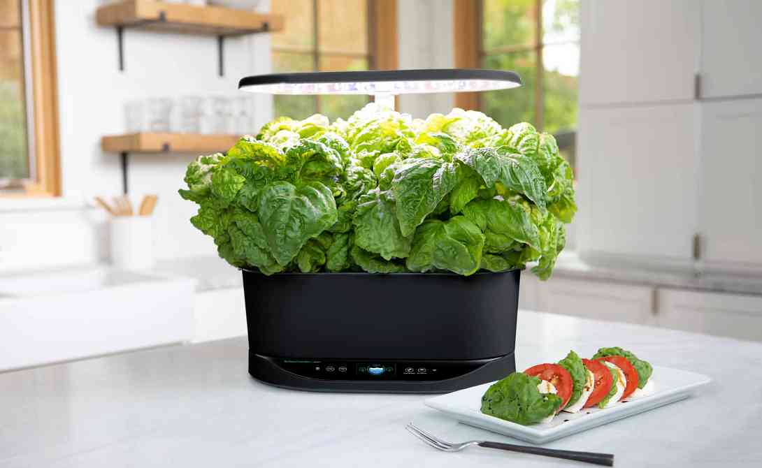 AeroGarden, which sells Wi-Fi-connected indoor gardening systems, is going out of business on January 1. While Scotts Miracle-Gro has continued sellin