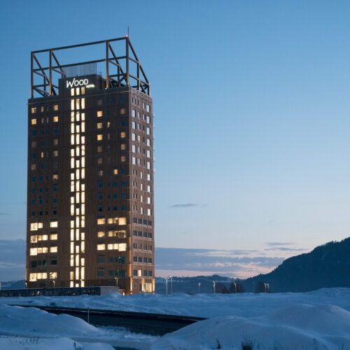 Sustainable building effort reaches new heights with wooden skyscrapers