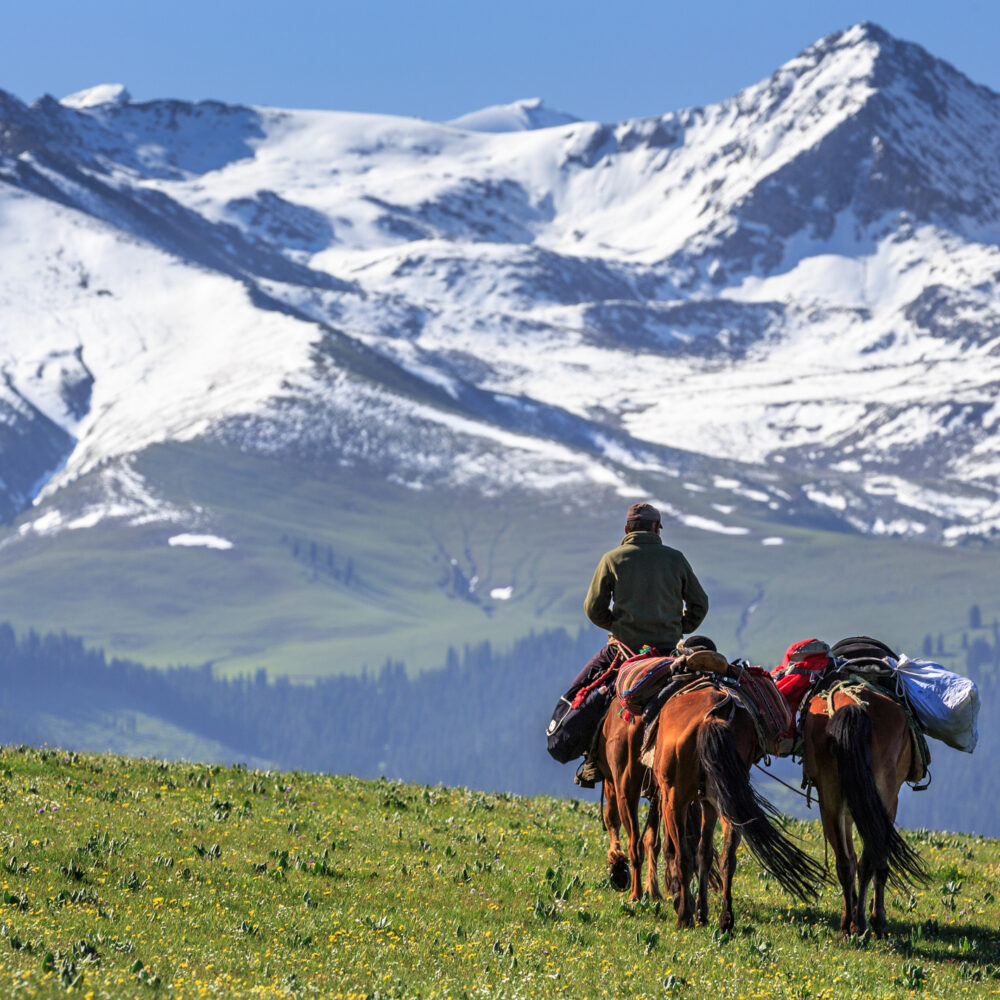 A man on a horse leads a riderless horse over green grass iwith snow covered mountains looming in the background.