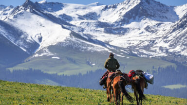 A man on a horse leads a riderless horse over green grass iwith snow covered mountains looming in the background.