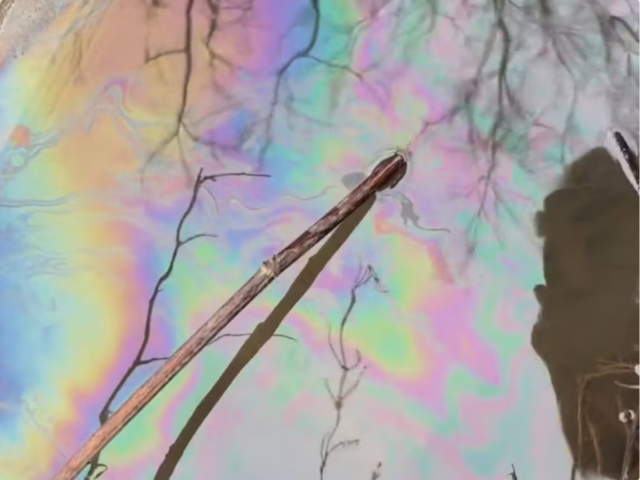 A sheen from the chemical spill was still evident on a creek in East Palestine on March 24, 2024, more than a month after the derailment.