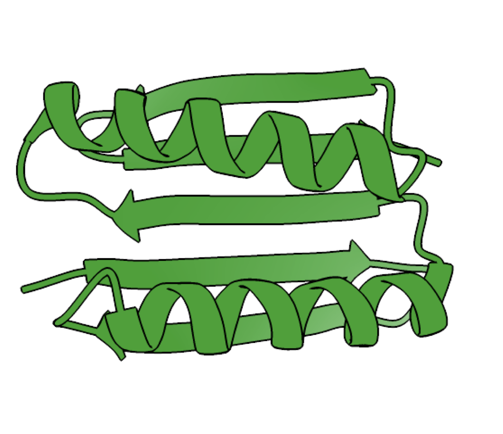 Image of a set of green lines, some thicker and some thinner. Several areas are thicker arrows, and others are thicker coils. Collectively, they form a barrel shape.