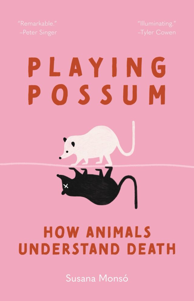 Cover for “Playing Possum.”