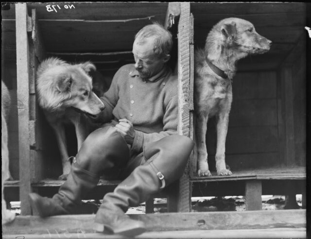 Frank Wild, Shackleton's second-in-command, plays with one of the dogs, Sue, in the dogpen on the Endurance.