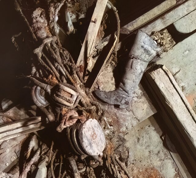 A 2022 sub-sea photograph shows a boot on the remains of the ship that lie at the ocean floor. This boot was once worn by Frank Wild.