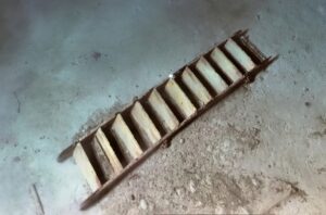 sub-sea photograph of the ladder that Shackleton's crew used over a century ago