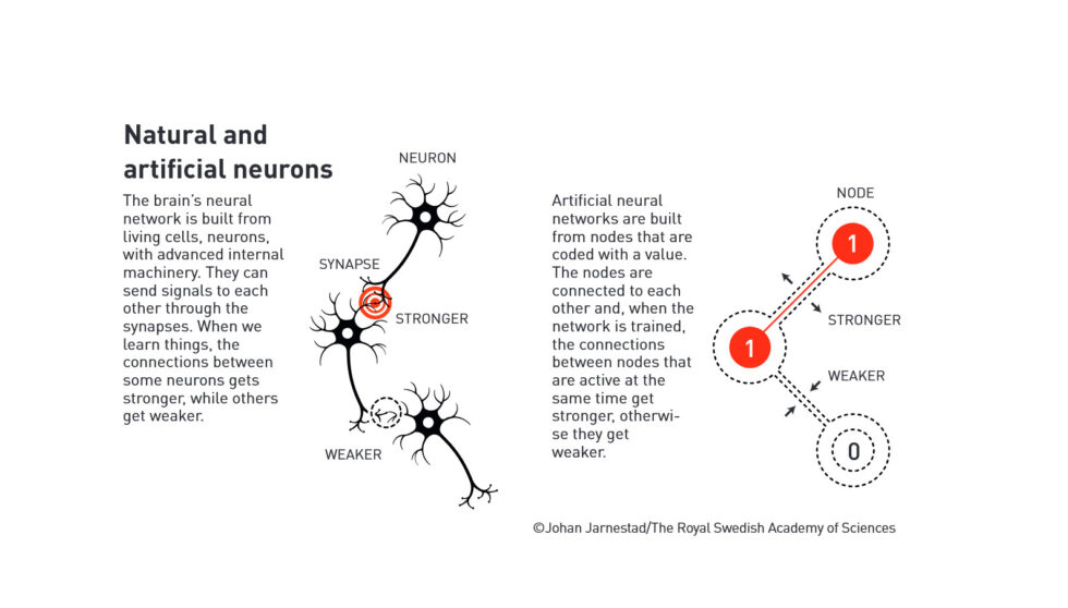 A Nobel Prize handout illustration describing neurons and artificial neurons.