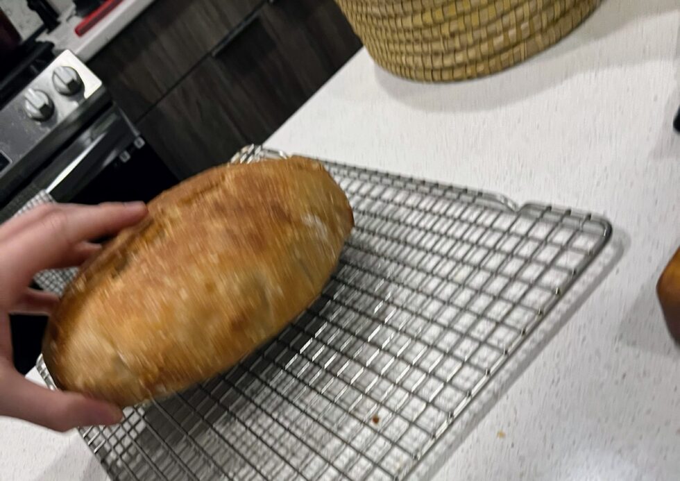 Flour, water, salt, GitHub: The Bread Code is a sourdough baking ...