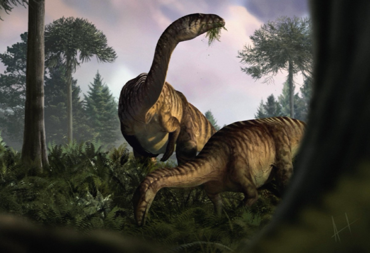 What fossilized dino feces can tell us about their rise to dominance ...